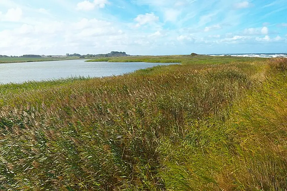 Landschaft und Sehenswürdigkeiten in Mecklenburgischen Seenplatte für Busreise Mecklenburgische Seenplatte mit Rollator – Reisecheck
