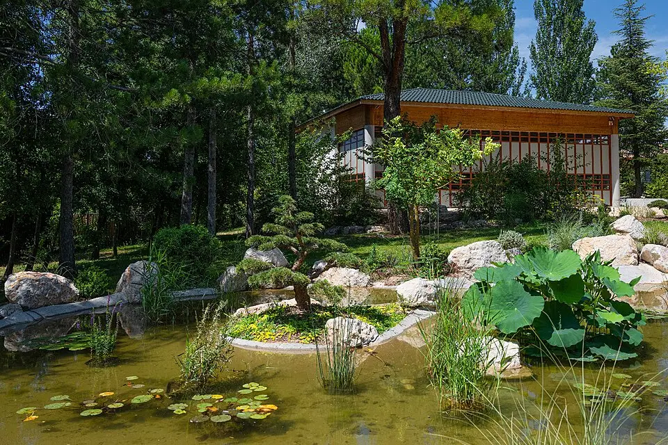 Authentischer Reisemoment in Provence – passend zu Busreise Provence ab München – Dauer & Komfort