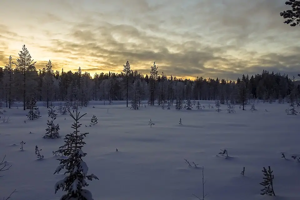 Stimmungsvolle Reiseansicht aus Finnland für Busreise Finnland für Paare – Tipps zur Auswahl