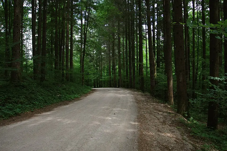 Landschaft und Sehenswürdigkeiten in Slowenien für Busreise Slowenien ab Frankfurt – ehrlich eingeordnet