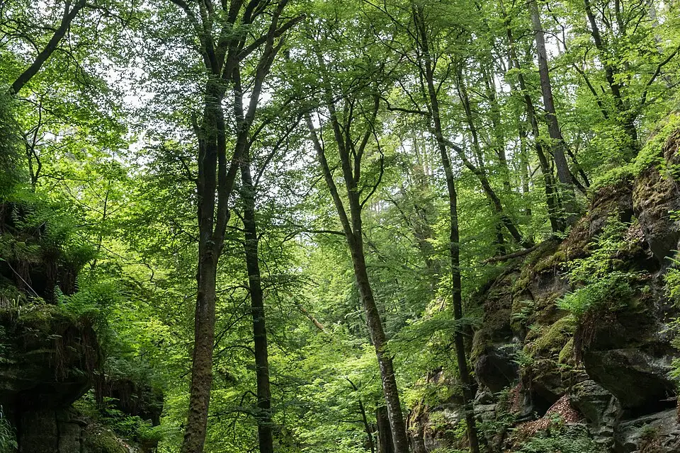 Landschaft und Sehenswürdigkeiten in Luxemburg für Beste Reisezeit für eine Busreise Luxemburg – Route & Leistungen