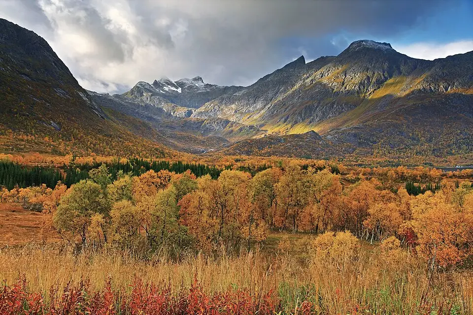 Landschaft und Sehenswürdigkeiten in Norwegische Fjorde für Günstige Busreise Norwegische Fjorde – ehrlich eingeordnet