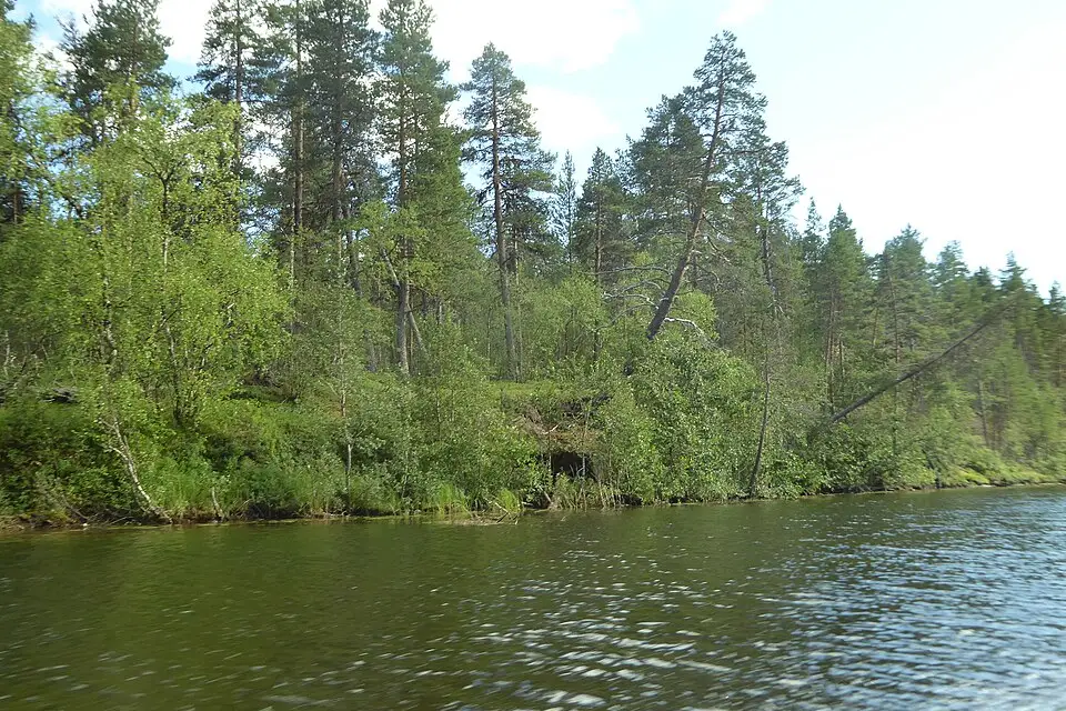 Authentischer Reisemoment in Finnland – passend zu Busreise Finnland mit 4-Sterne-Hotel – Route & Leistungen