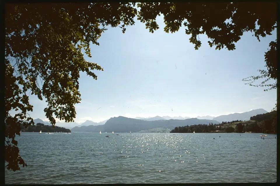 Stimmungsvolle Reiseansicht aus Vierwaldstättersee für Busreise Vierwaldstättersee im Frühling – ehrlich eingeordnet