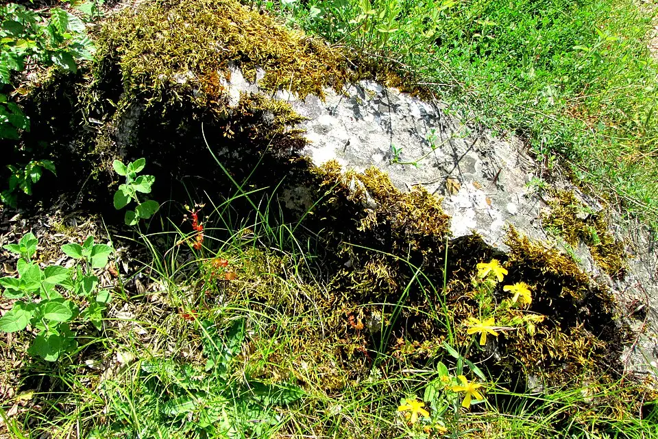 Landschaft und Sehenswürdigkeiten in Nordmazedonien für Nordmazedonien – Seniorenreise mit Abholservice