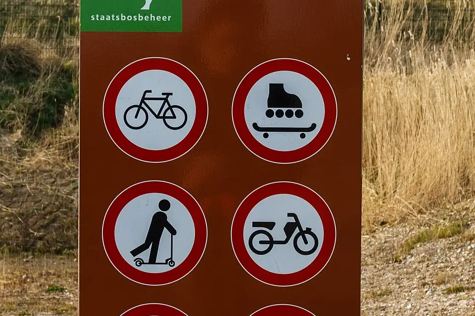 Landschaft und Sehenswürdigkeiten in Amsterdam für Naturreise Amsterdam mit dem Bus – Tipps zur Auswahl