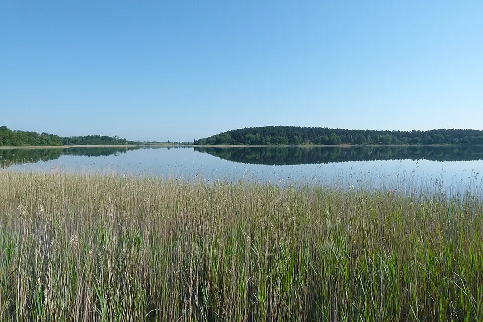 Authentischer Reisemoment in Mecklenburgischen Seenplatte – passend zu Mecklenburgische Seenplatte – Panorama-Busreise