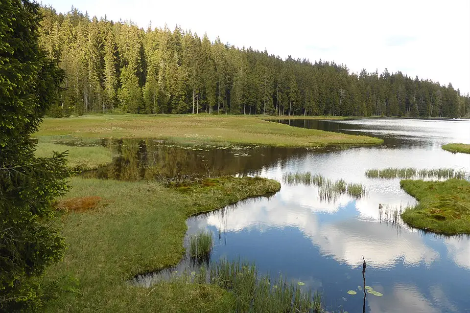 Authentischer Reisemoment in Bayerischen Wald – passend zu Busreise Bayerischer Wald mit viel Freizeit – Reisecheck