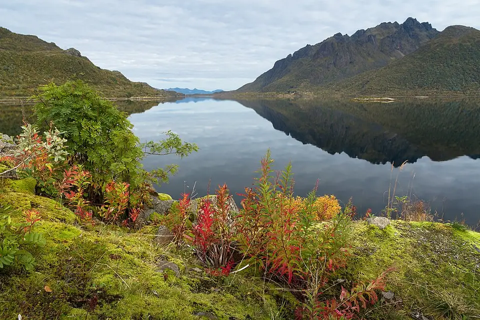 Stimmungsvolle Reiseansicht aus Norwegische Fjorde für Busreise Norwegische Fjorde mit Panoramabahn – Tipps zur Auswahl