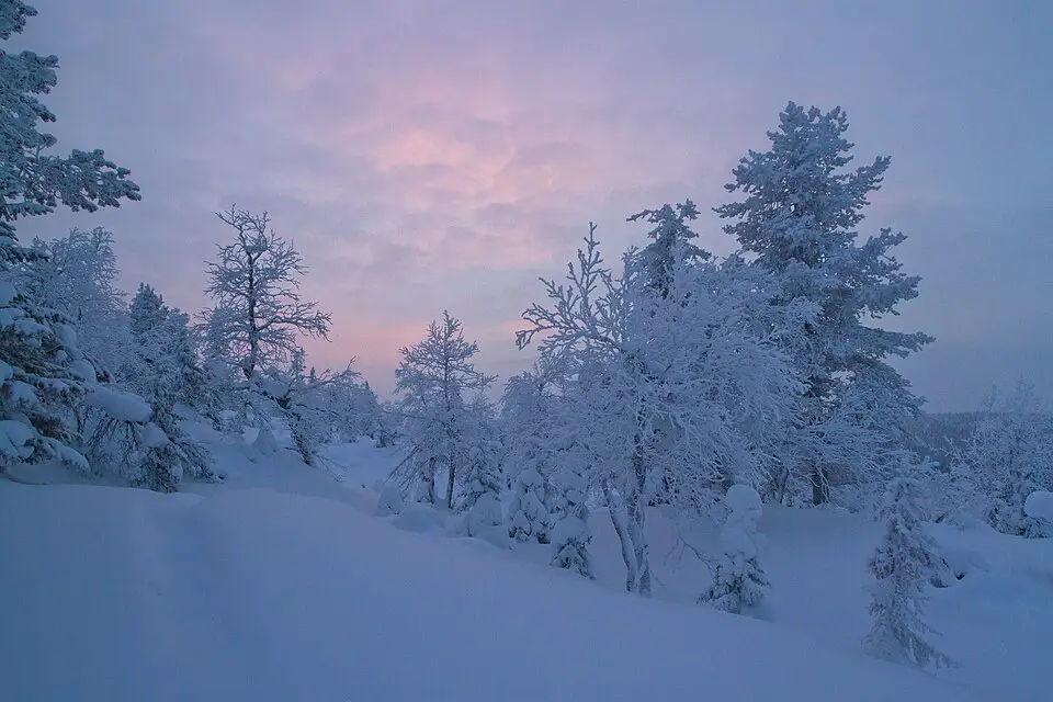 Stimmungsvolle Reiseansicht aus Finnland für Premium Busreise Finnland – Reiseguide
