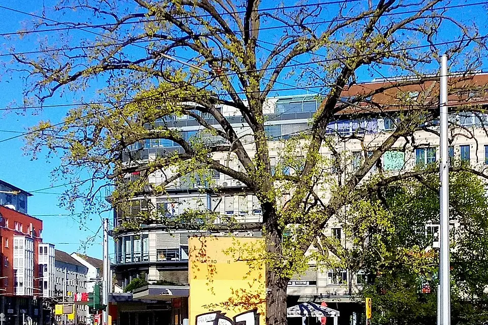Authentischer Reisemoment in Dresden – passend zu Weihnachtsreise Dresden mit dem Bus – Route & Leistungen