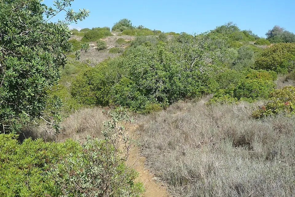 Stimmungsvolle Reiseansicht aus Algarve für Vereinsreise Algarve mit dem Bus – Route & Leistungen