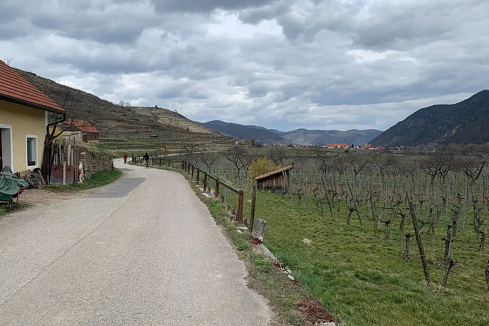 Landschaft und Sehenswürdigkeiten in Wachau für Busreise Wachau ab NRW – Tipps zur Auswahl