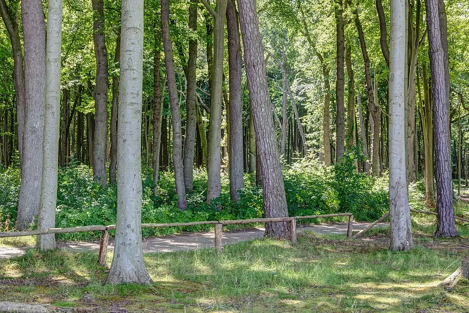 Authentischer Reisemoment in Ostsee – passend zu Busreise Ostsee – Route & Leistungen