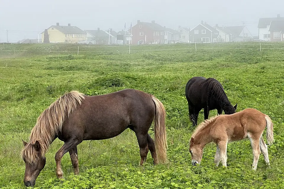 Landschaft und Sehenswürdigkeiten in Nordkap für Busreise Nordkap für Senioren mit Haustürabholung – Reisecheck