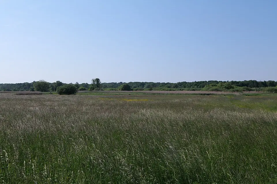 Landschaft und Sehenswürdigkeiten in Berlin für Vereinsreise Berlin mit dem Bus – Dauer & Komfort