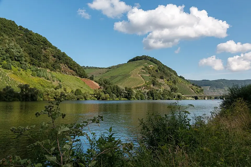 Stimmungsvolle Reiseansicht aus Mosel für Busreise Mosel ab Stuttgart – Tipps zur Auswahl
