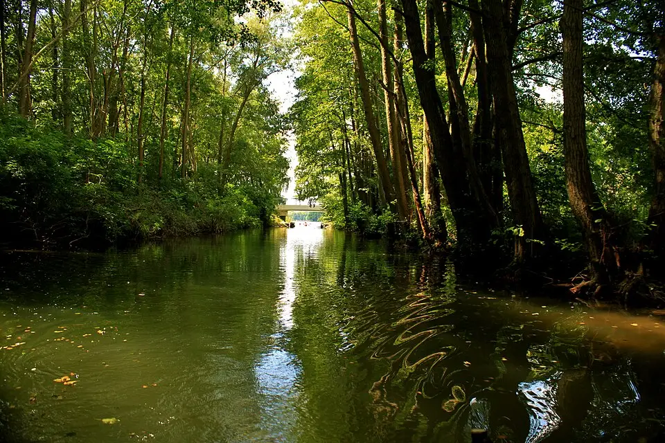 Landschaft und Sehenswürdigkeiten in Mecklenburgischen Seenplatte für Busreise Mecklenburgische Seenplatte im Frühling – Reiseguide