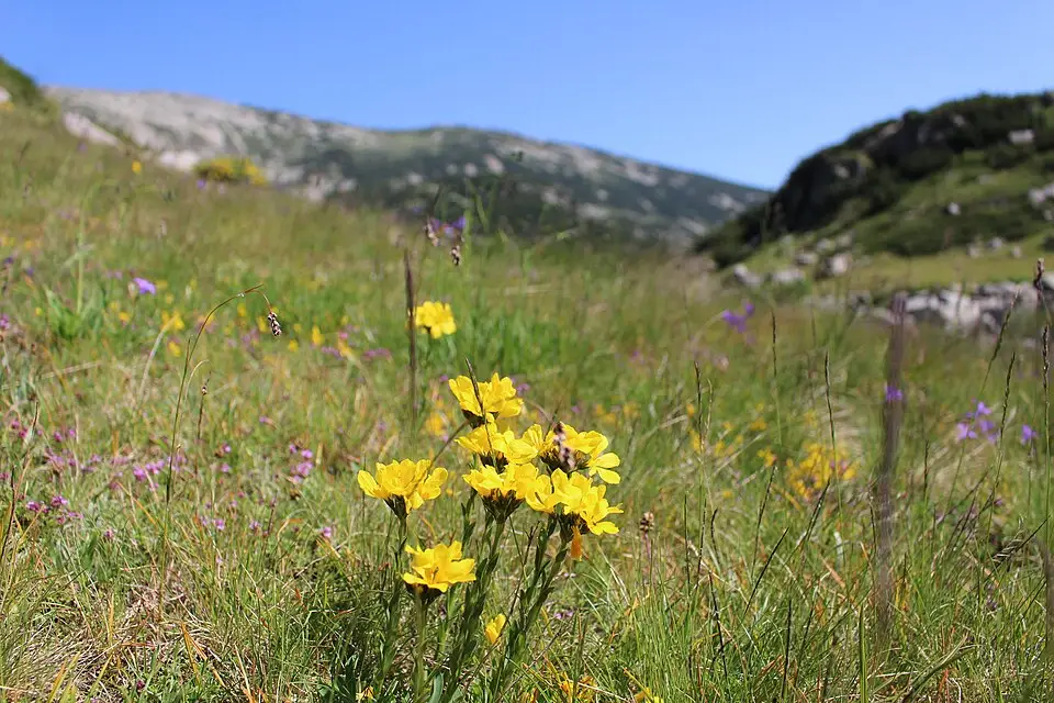 Authentischer Reisemoment in Bulgarien – passend zu Genussreise Bulgarien mit dem Bus – Route & Leistungen