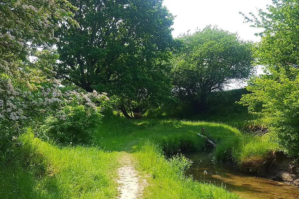 Landschaft und Sehenswürdigkeiten in Südschweden für Barrierearme Busreise Südschweden – Reisecheck