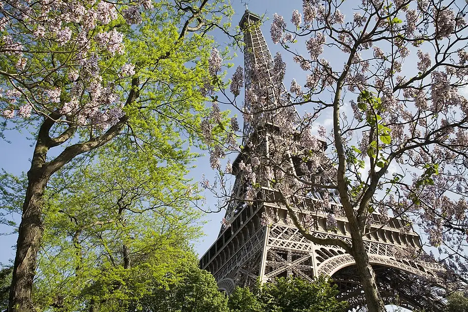 Stimmungsvolle Reiseansicht aus Paris für Busreise Paris ab Frankfurt – Tipps zur Auswahl