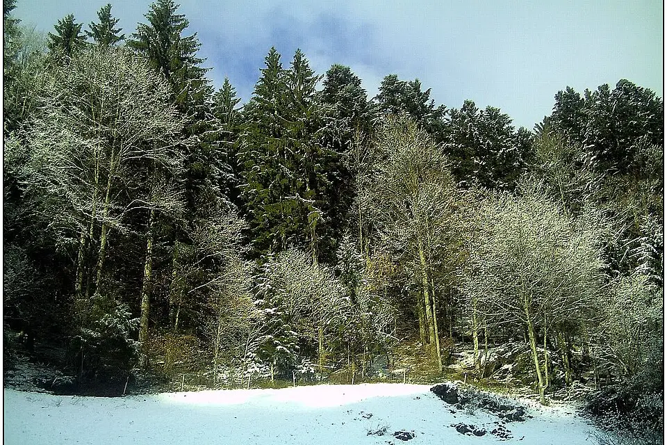 Landschaft und Sehenswürdigkeiten in Schwarzwald für Busreise Schwarzwald mit Halbpension – Dauer & Komfort