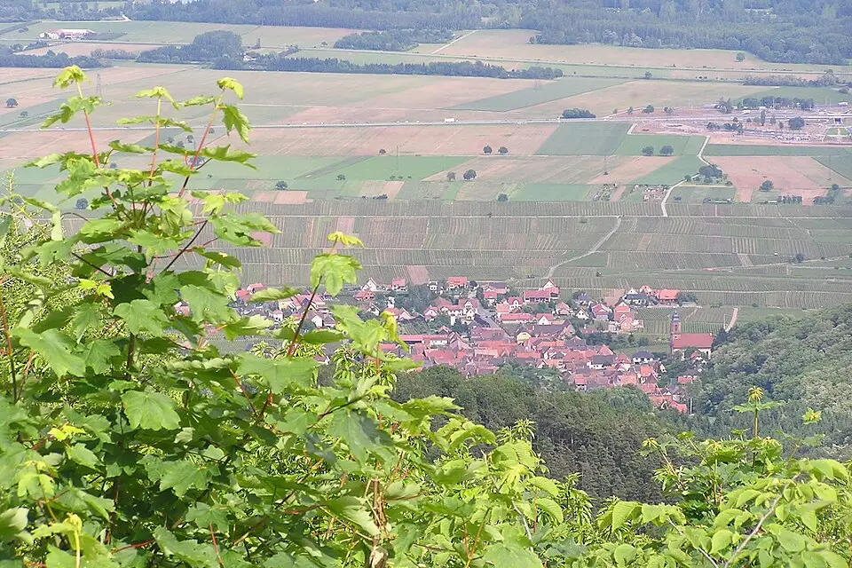 Stimmungsvolle Reiseansicht aus Elsass für Busreise Elsass mit wenig Gehstrecke – Route & Leistungen