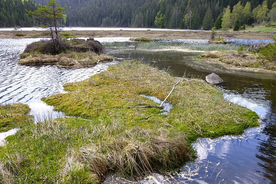 Landschaft und Sehenswürdigkeiten in Bayerischen Wald für Busreise Bayerischer Wald übers Wochenende – Dauer & Komfort