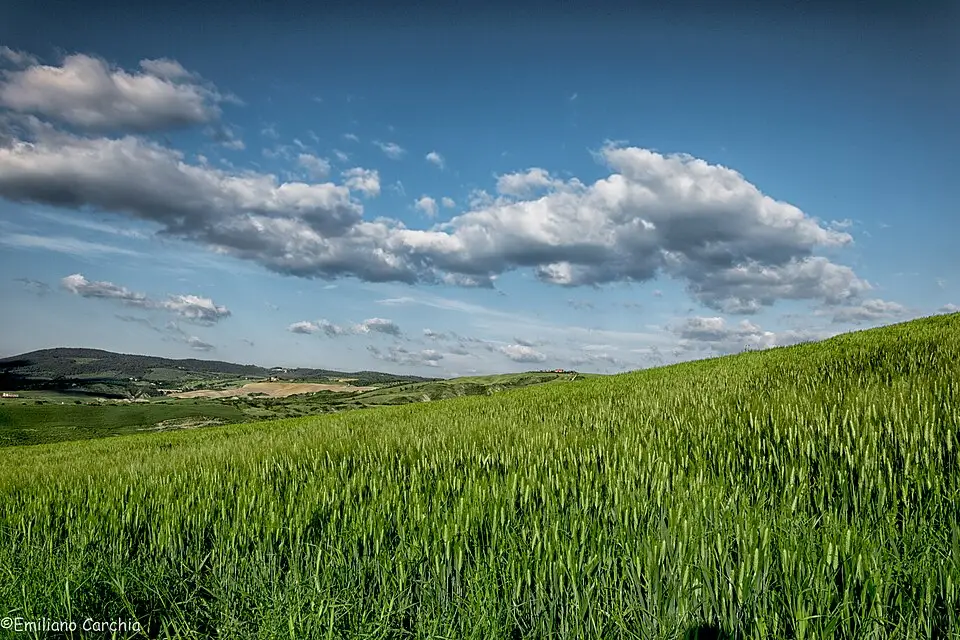 Landschaft und Sehenswürdigkeiten in Toskana für Genussreise Toskana mit dem Bus – Route & Leistungen