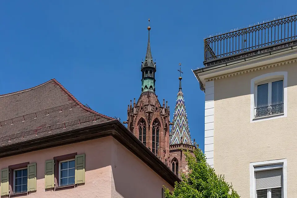 Stimmungsvolle Reiseansicht aus Schwarzwald für Rundreise Schwarzwald mit dem Bus – Reiseguide