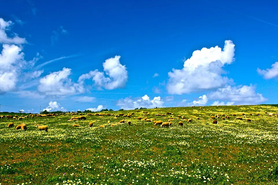 Landschaft und Sehenswürdigkeiten in Algarve für Busreise Algarve für Senioren mit Haustürabholung – Reisecheck