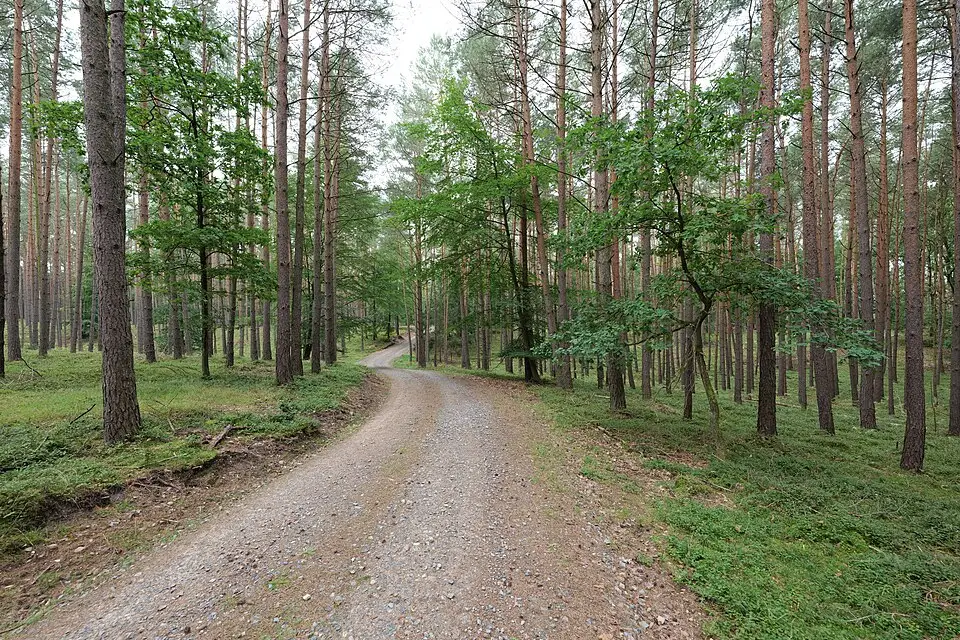 Landschaft und Sehenswürdigkeiten in Mecklenburgischen Seenplatte für Busreise Mecklenburgische Seenplatte mit Halbpension – Reiseguide