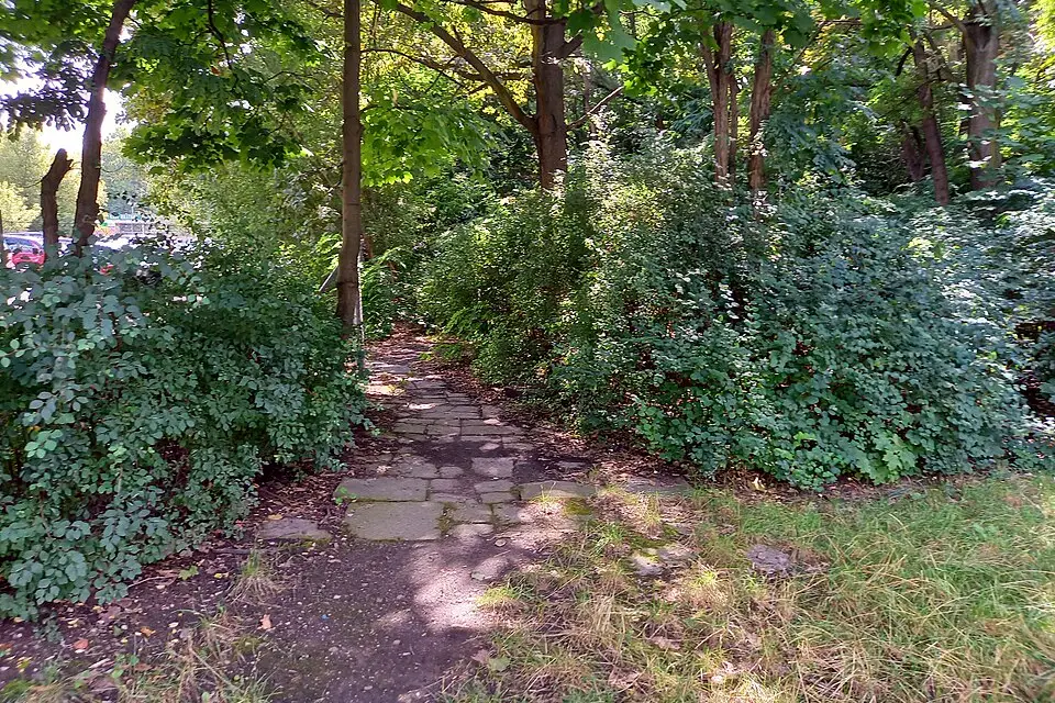 Authentischer Reisemoment in Breslau – passend zu Panoramareise Breslau mit dem Bus – Reiseguide