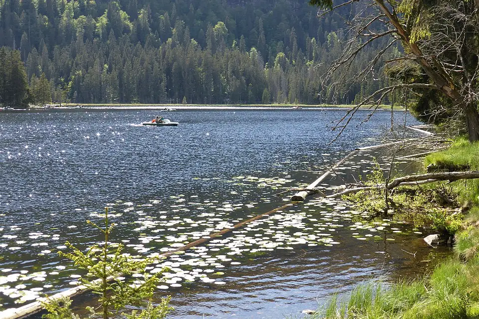 Authentischer Reisemoment in Bayerischen Wald – passend zu Vereinsreise Bayerischer Wald mit dem Bus – Tipps zur Auswahl
