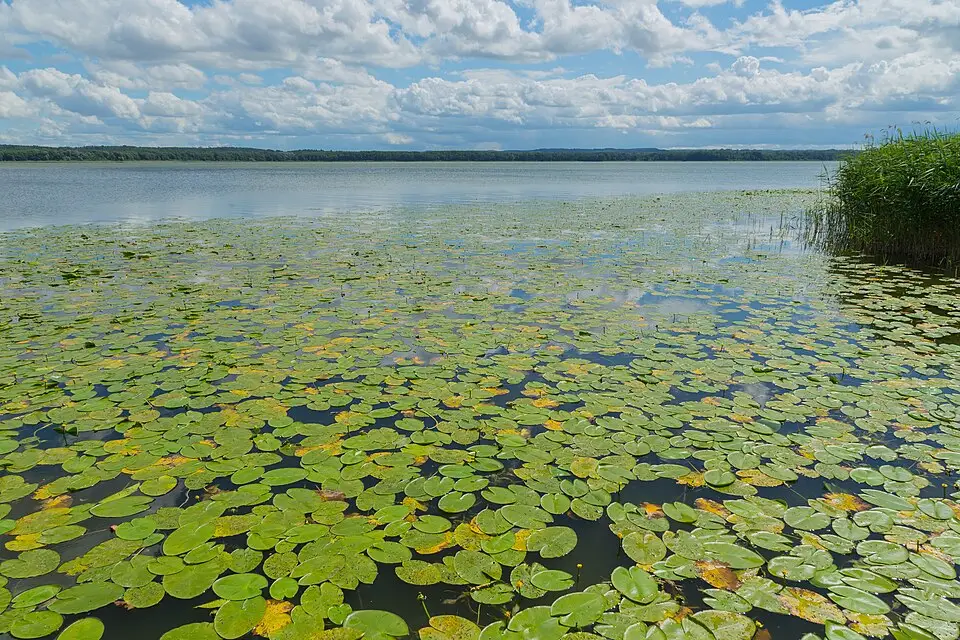 Landschaft und Sehenswürdigkeiten in Mecklenburgischen Seenplatte für Busreise Mecklenburgische Seenplatte – Tipps zur Auswahl