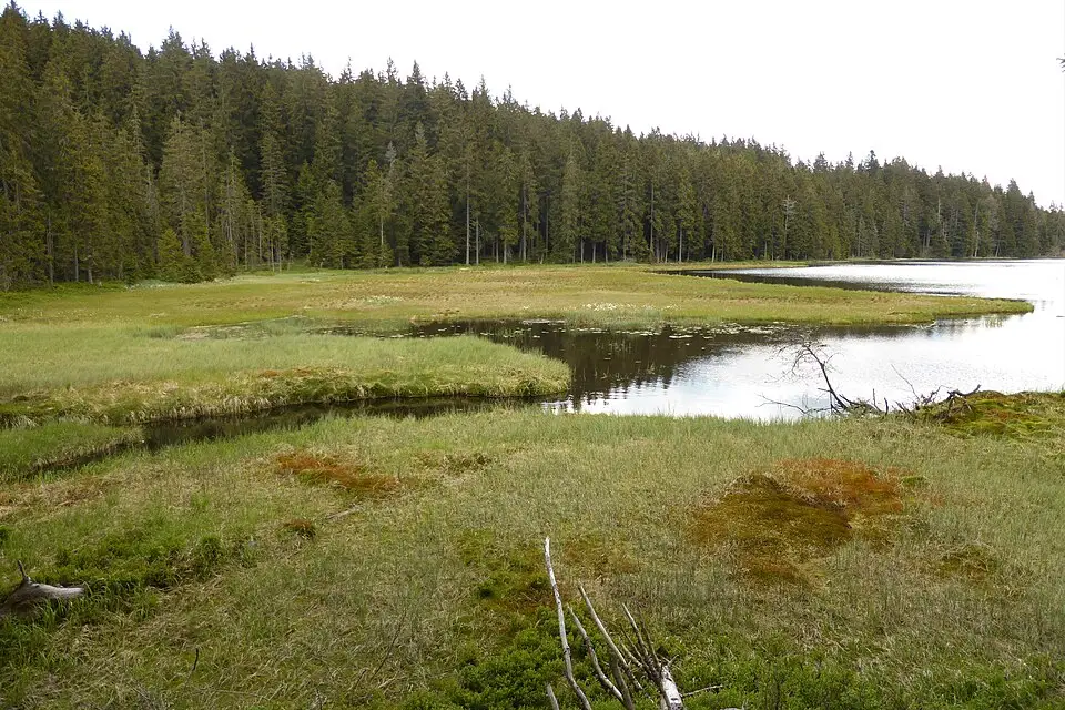 Landschaft und Sehenswürdigkeiten in Bayerischen Wald für Vereinsreise Bayerischer Wald mit dem Bus – Tipps zur Auswahl