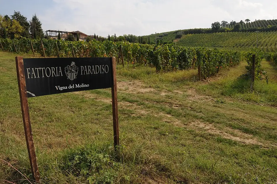 Authentischer Reisemoment in Emilia Romagna – passend zu Busreise Emilia-Romagna ab Berlin – Reisecheck