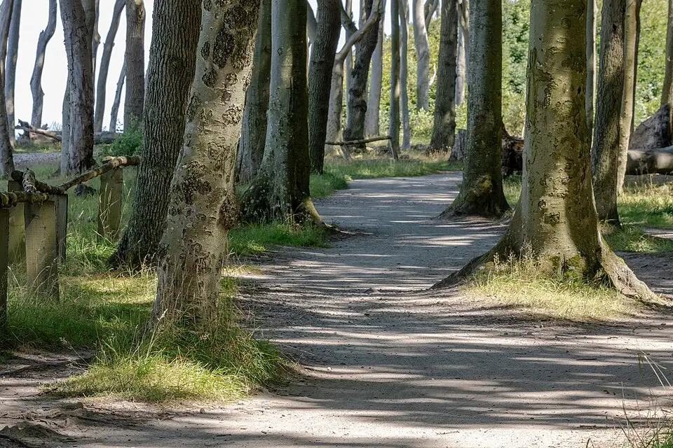 Authentischer Reisemoment in Ostsee – passend zu Beste Reisezeit für eine Busreise Ostsee – Reisecheck