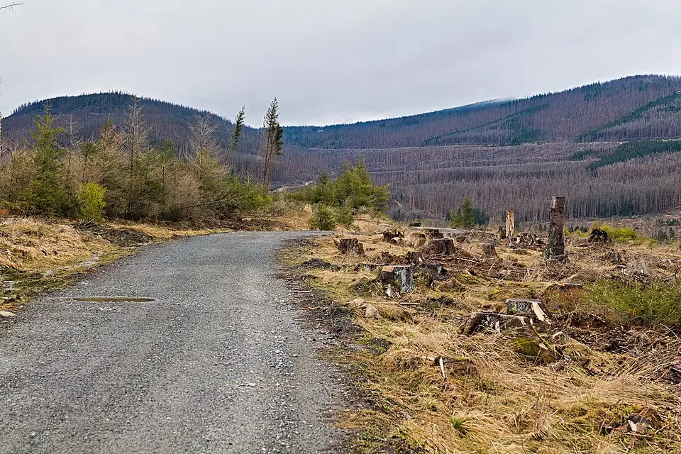 Landschaft und Sehenswürdigkeiten in Harz für Busreise Harz ab NRW – Tipps zur Auswahl