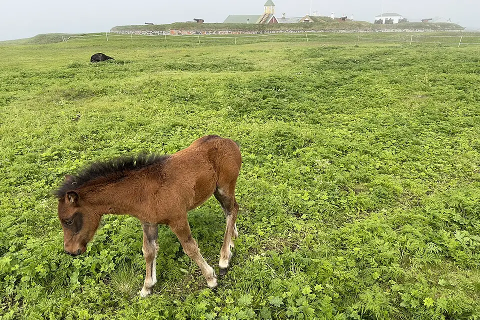 Authentischer Reisemoment in Nordkap – passend zu Singlereise Nordkap mit dem Bus – Reiseguide