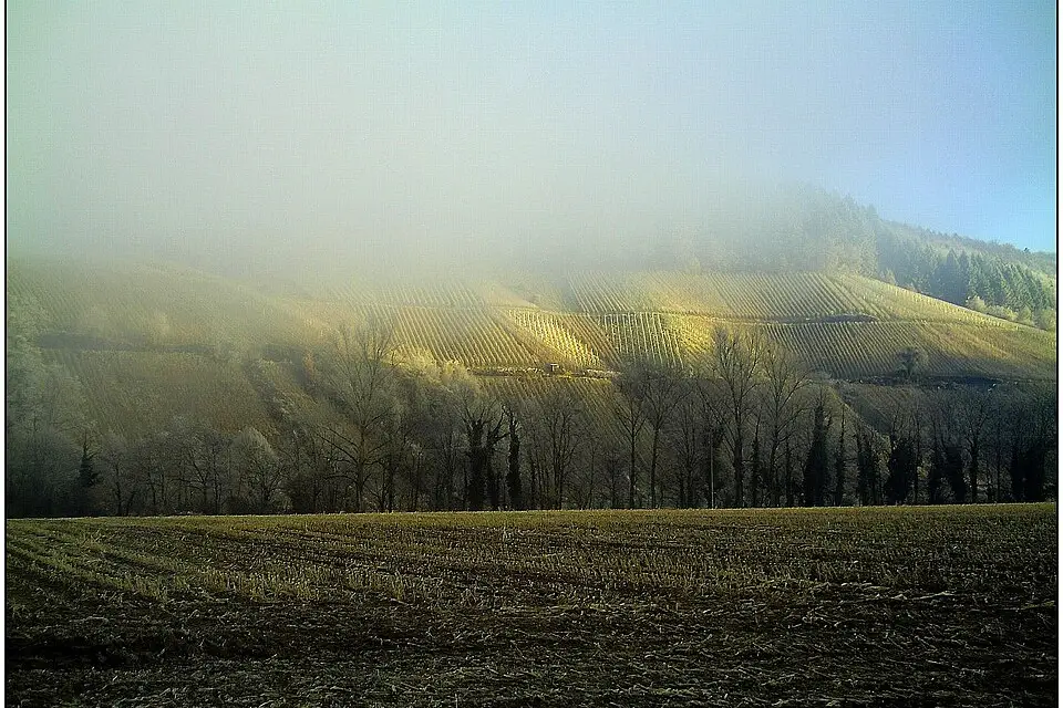 Authentischer Reisemoment in Schwarzwald – passend zu Busreise Schwarzwald – Reisecheck