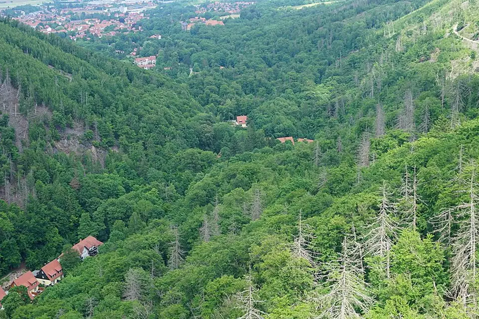 Stimmungsvolle Reiseansicht aus Harz für Busreise Harz in kleiner Gruppe – Reiseguide