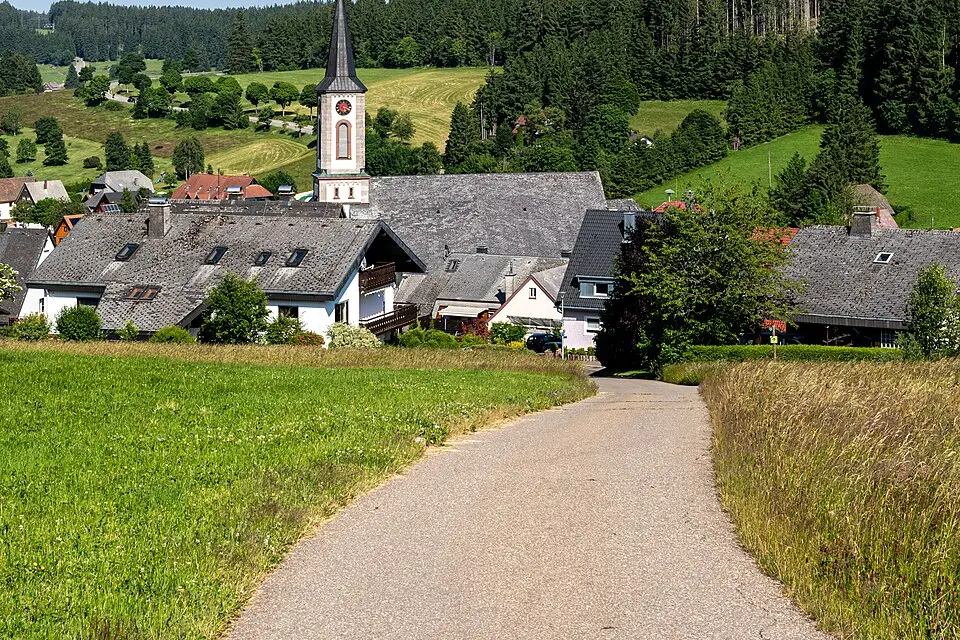 Stimmungsvolle Reiseansicht aus Schwarzwald für Busreise Schwarzwald in kleiner Gruppe – Tipps zur Auswahl