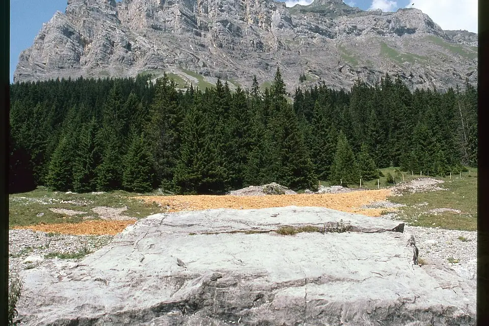 Stimmungsvolle Reiseansicht aus Berner Oberland für Busreise Berner Oberland im Sommer – ehrlich eingeordnet