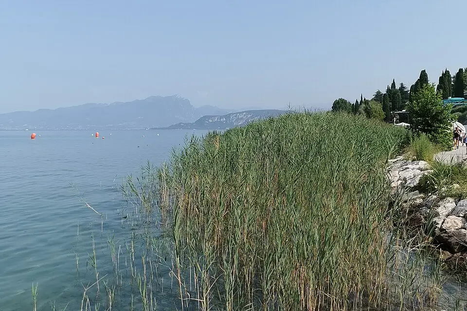 Landschaft und Sehenswürdigkeiten in Gardasee für Busreise Gardasee im Frühling – ehrlich eingeordnet