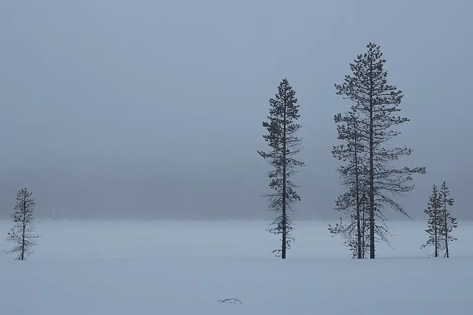 Authentischer Reisemoment in Finnland – passend zu Panoramareise Finnland mit dem Bus – Reiseguide