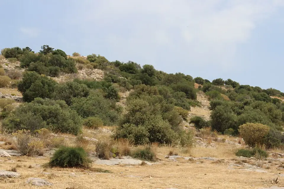 Landschaft und Sehenswürdigkeiten in Athen für Kulturreise Athen mit dem Bus – Reisecheck