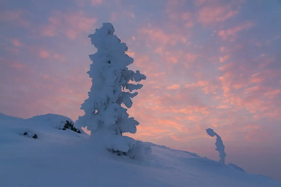 Authentischer Reisemoment in Finnland – passend zu Premium Busreise Finnland – Reiseguide