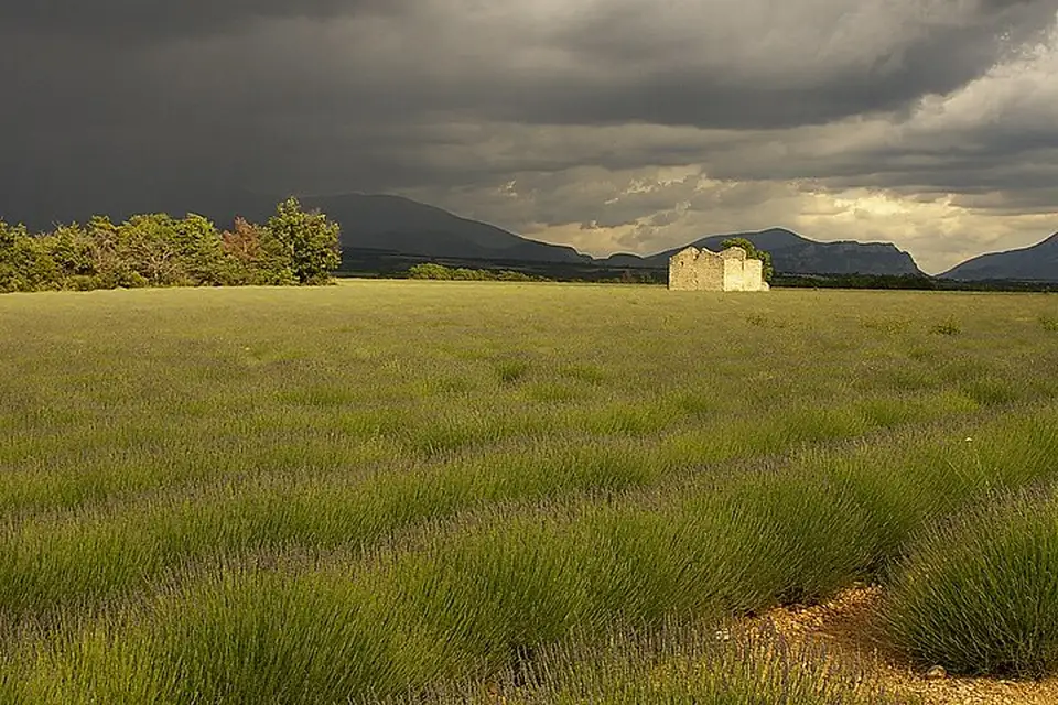 Landschaft und Sehenswürdigkeiten in Provence für Weihnachtsreise Provence mit dem Bus – Dauer & Komfort