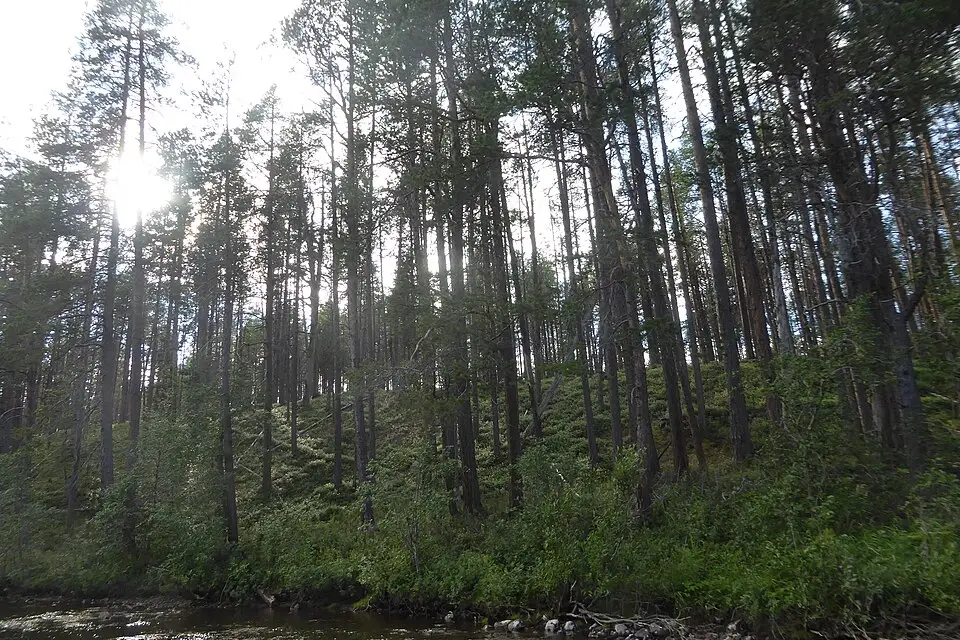 Landschaft und Sehenswürdigkeiten in Finnland für Wellnessreise Finnland mit dem Bus – ehrlich eingeordnet